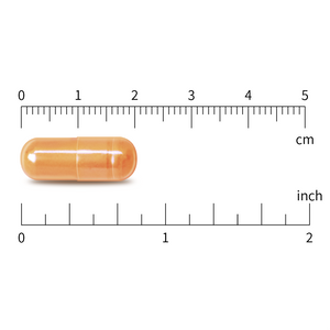 Boswellia 10:1 Extract 333mg & Curcumin 100mg, 120 Vegan Capsules