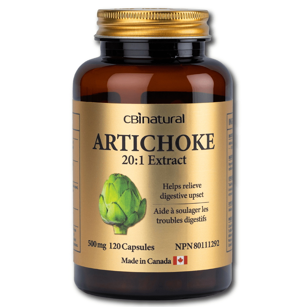 Artichoke 20:1 Extract 500mg, Supports Liver & Digestive Health, 120 Vegan Capsules (4-Month Supply), Non-GMO, Gluten Free